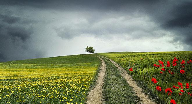 外媒议中国绿色经济发展成果及经验