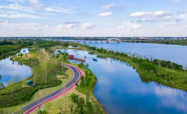 “低碳绿”成发展最亮主打色！盐城射阳点“绿”成“金”