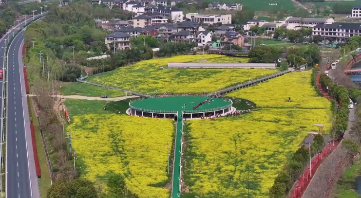 中国蓝观察丨如何用“花”玩出新花样？看“浙”里不一样的“春日经济”