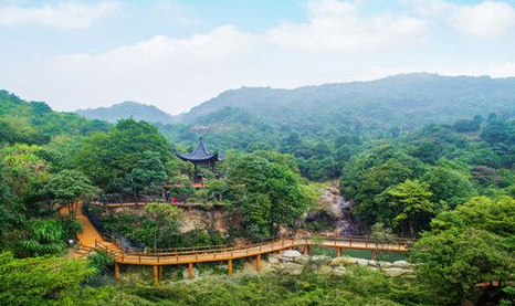 大力发展生态旅游 助力美丽中国建设