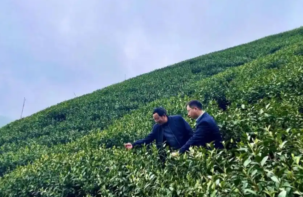 书写绿色金融的“民生”篇章