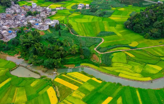 2025年中央一号文件：推进乡村文化和旅游深度融合