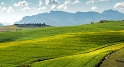 国务院办公厅转发生态环境部  《关于建设美丽中国先行区的实施意见》的通知