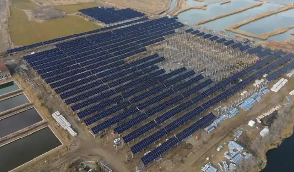 「微聚焦」绿色金融:交行青岛分行“渔光共舞”模式构建生态发展新范式