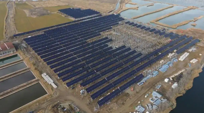 1744622239462873.png image.png