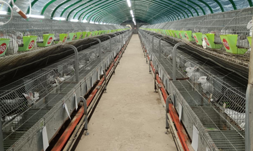 1744623228394862.png image.png