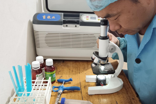 1744623239548035.png image.png