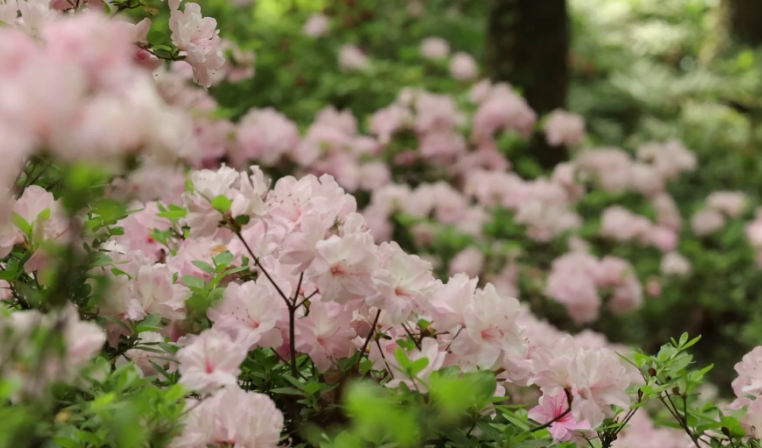 1744627665195651.png image.png