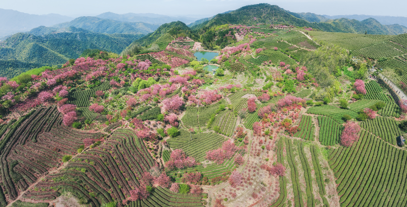 1744627679607973.png image.png