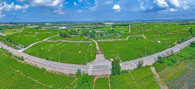 横州市持续推进民生项目,实现绿色循环与关爱惠民并行