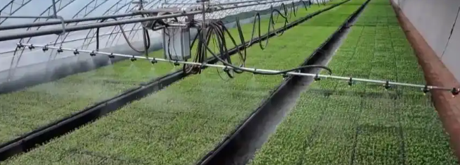 1744630523803680.png image.png