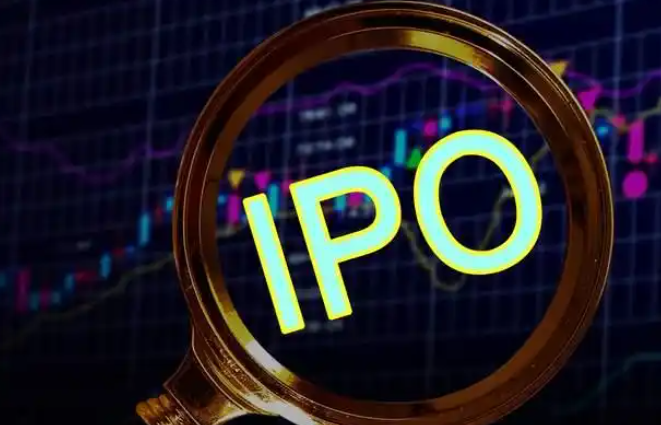 6年做到全球第三，250亿储能龙头冲刺港股IPO